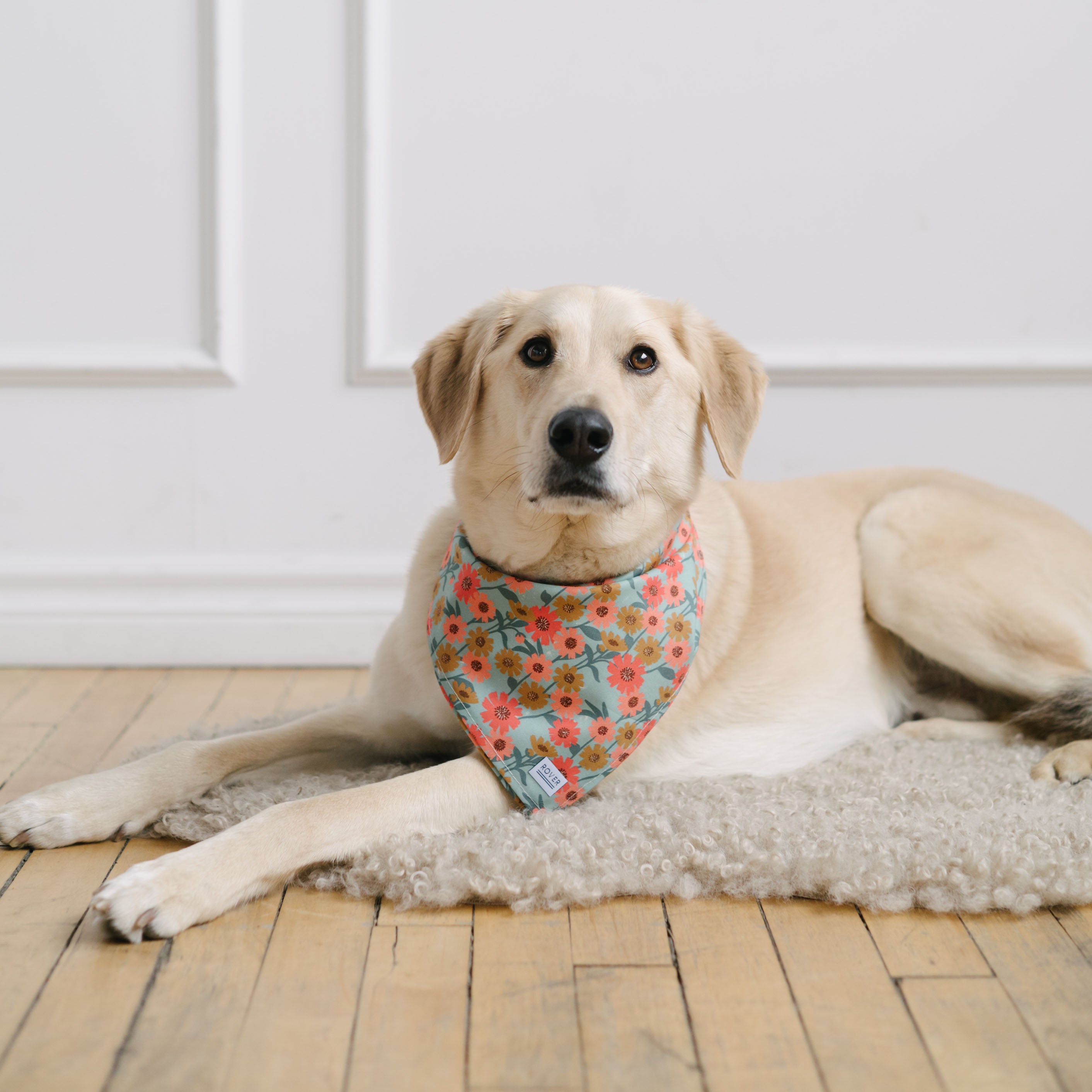 pink and green flower dog bandana