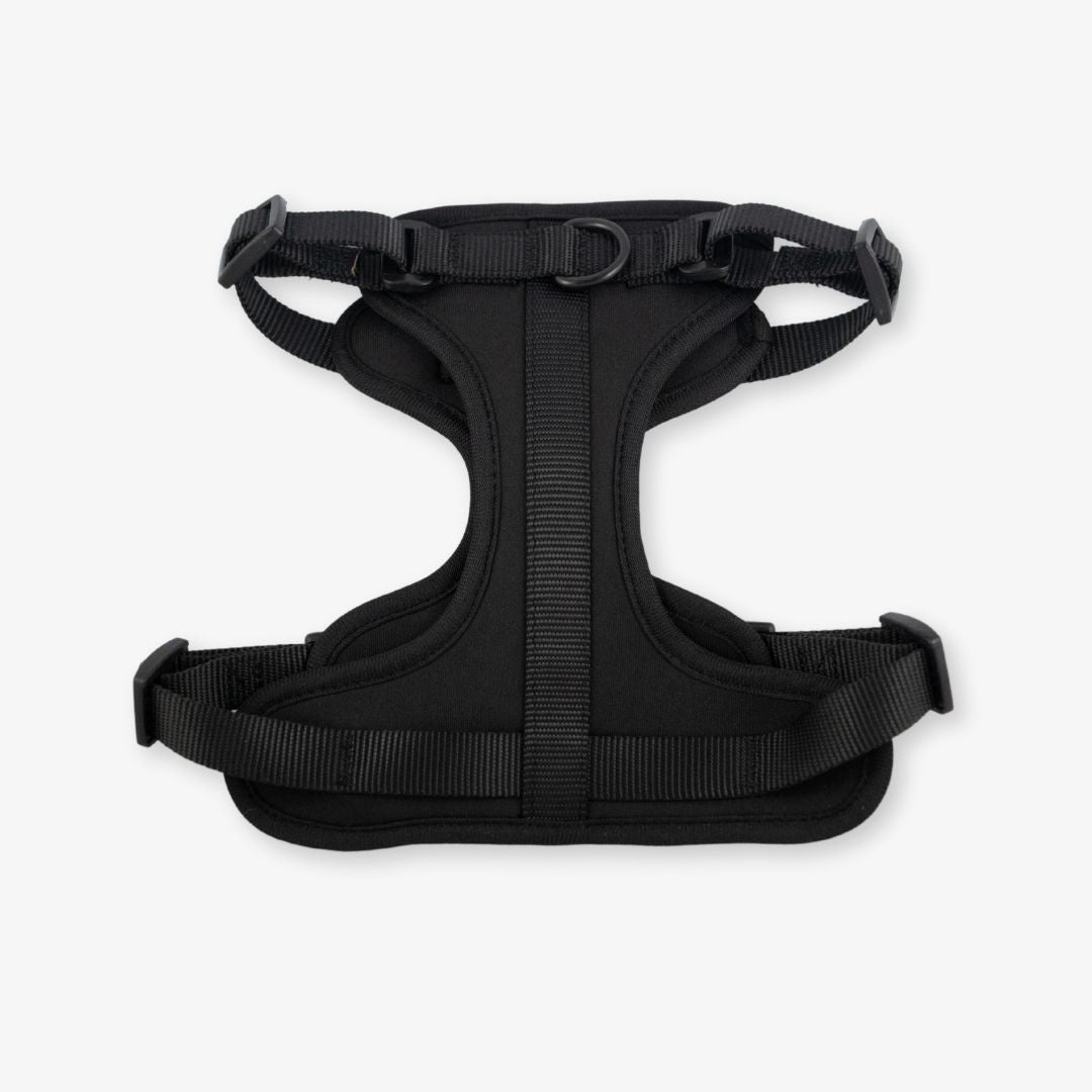 black dog harness