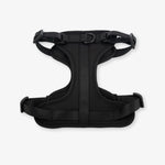 black dog harness