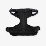 black dog harness