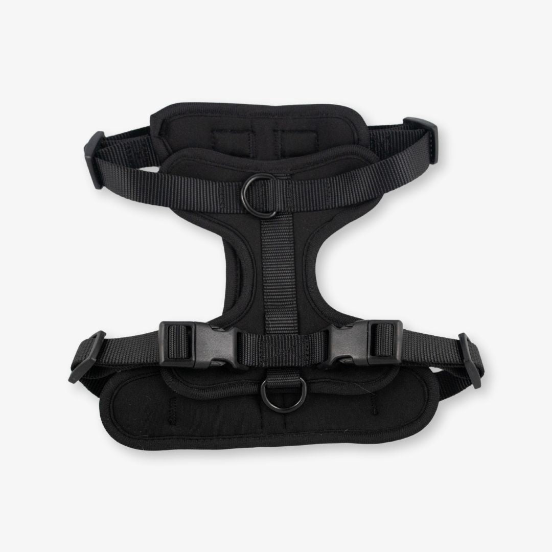 black dog harness