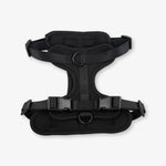 black dog harness