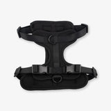 black dog harness