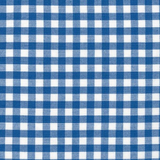 blue gingham dog bandana