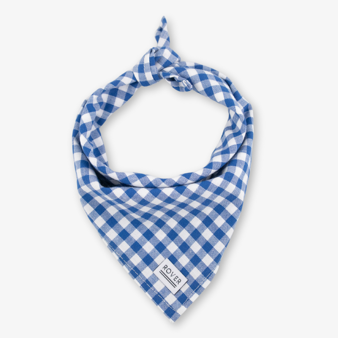 blue gingham dog bandana