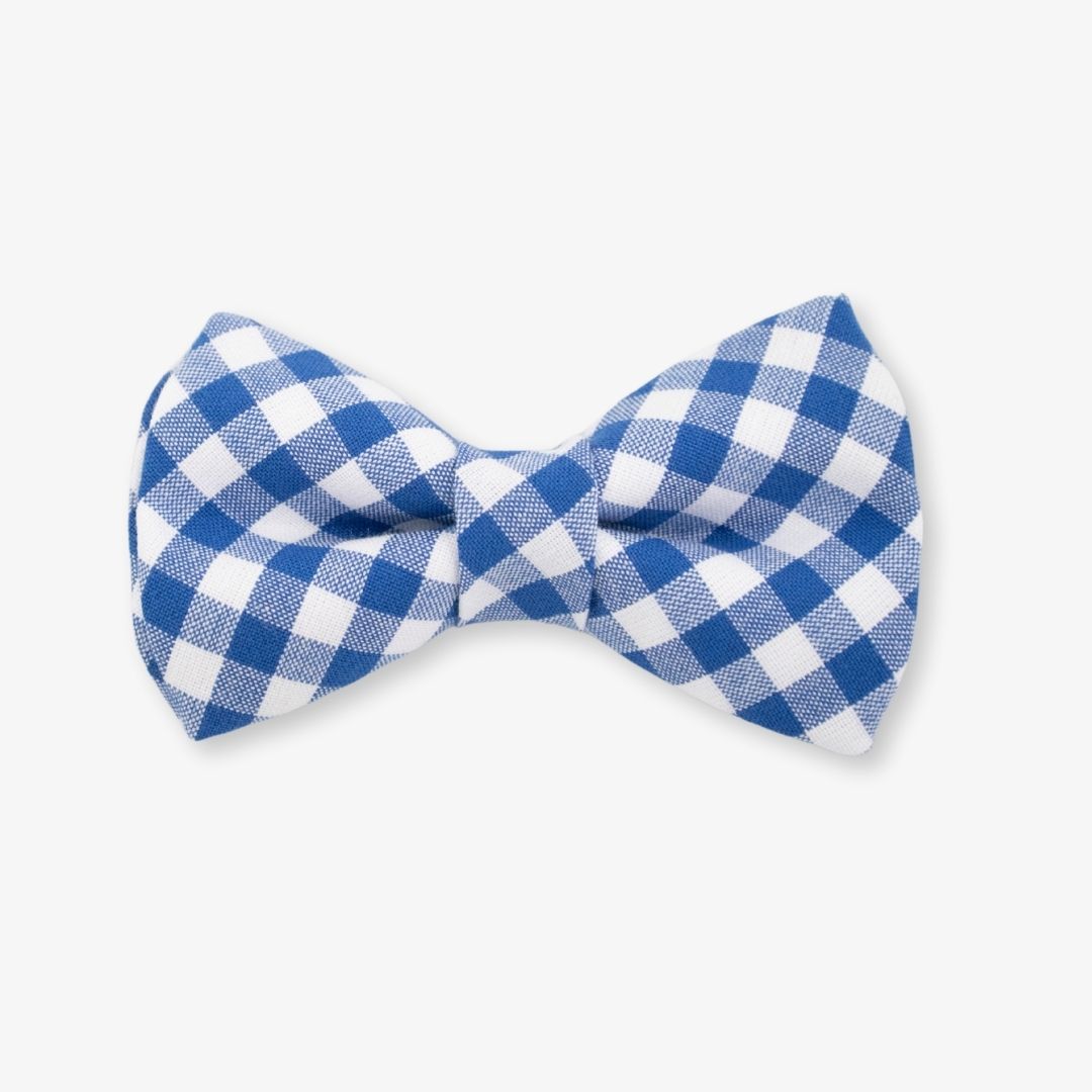 gingham dog bow tie