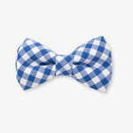 gingham dog bow tie