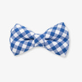 gingham dog bow tie