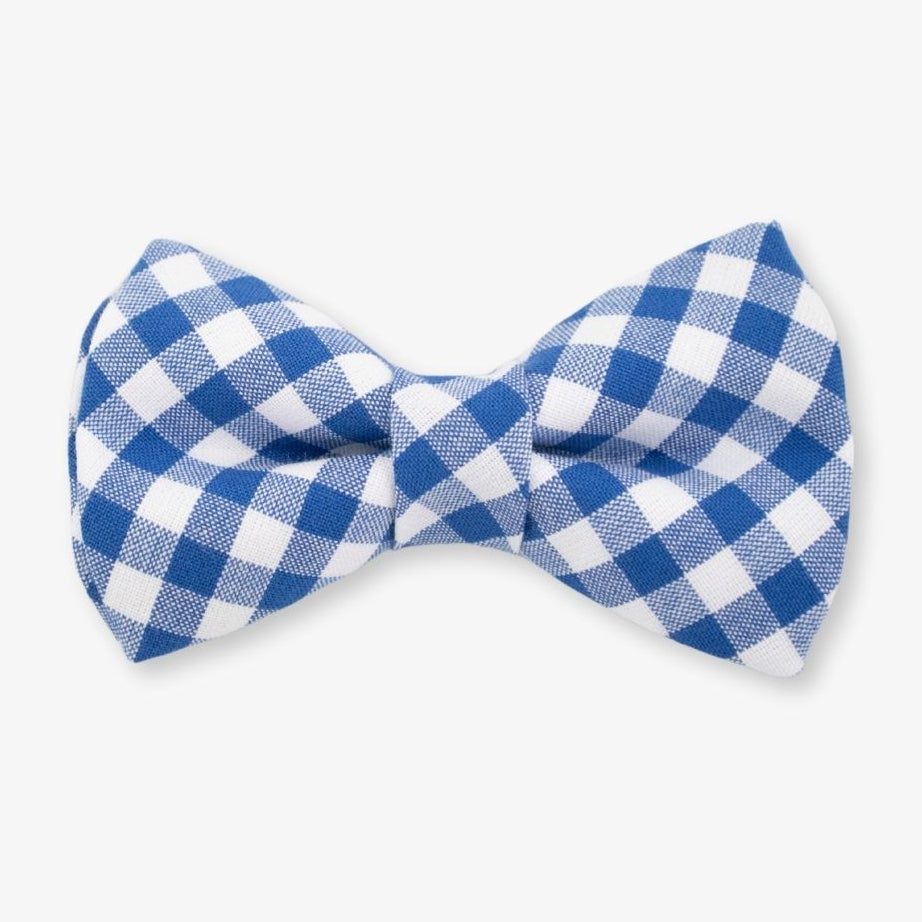 gingham dog bow tie