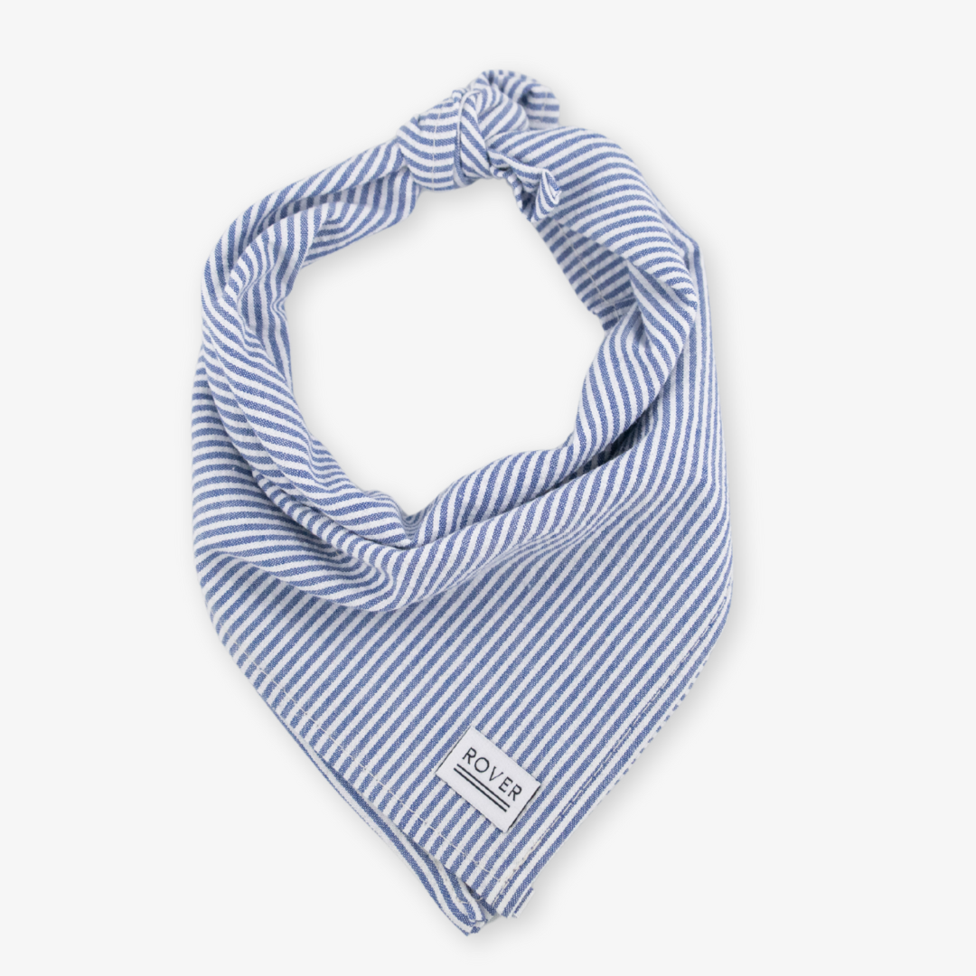 seersucker dog bandana