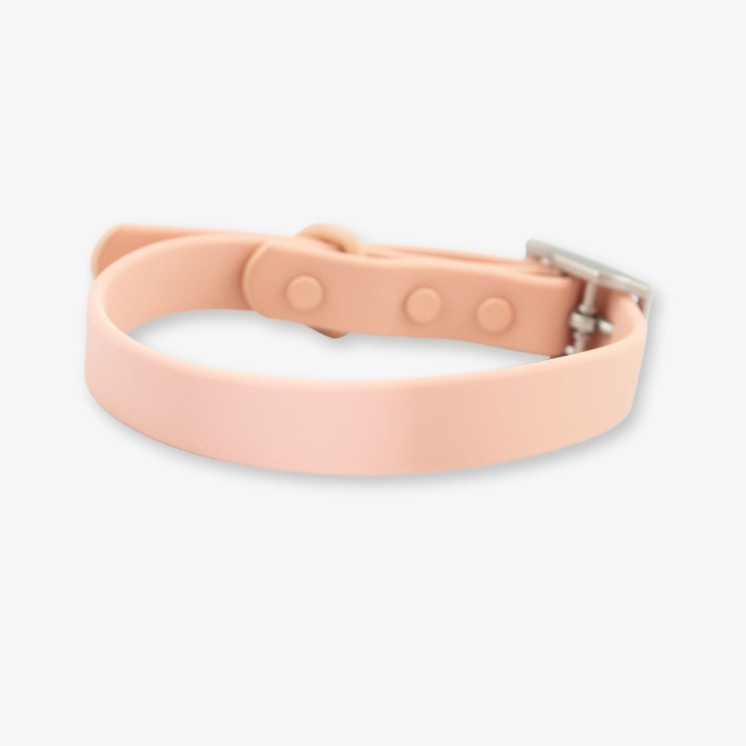 blush waterproof dog collar