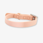 blush waterproof dog collar