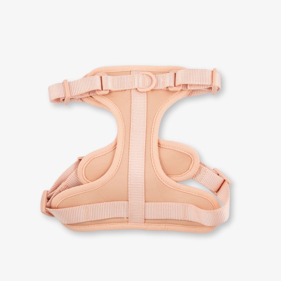 blush dog harness