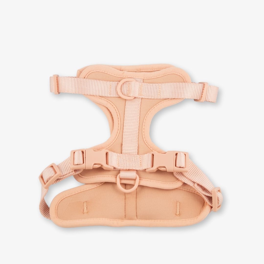 blush dog harness