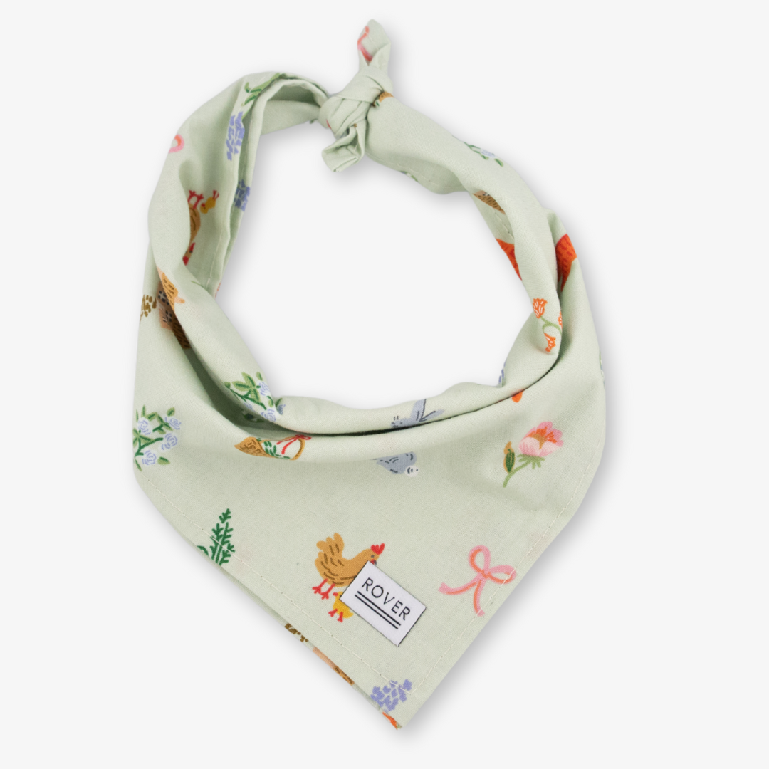 spring dog bandana