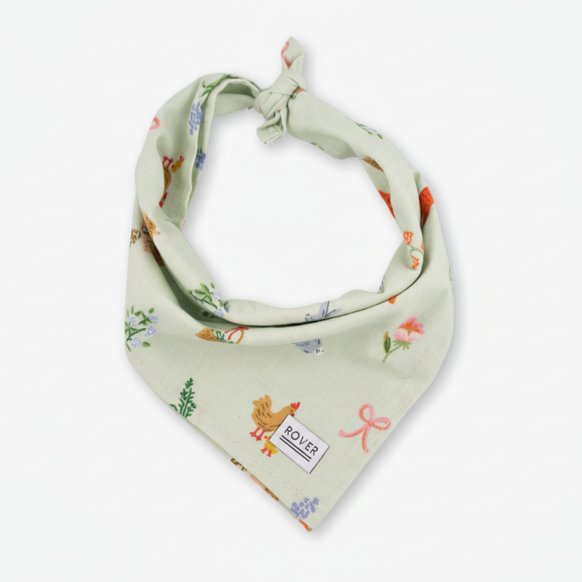 spring dog bandana
