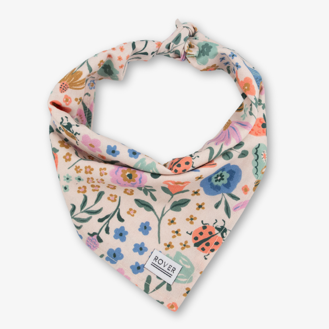 butterfly dog bandana