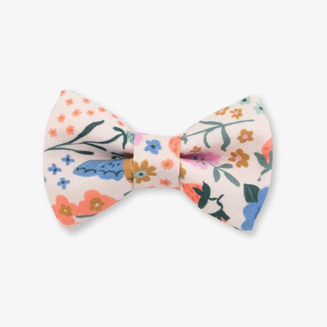 butterfly dog bow tie