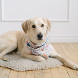 butterfly dog bandana