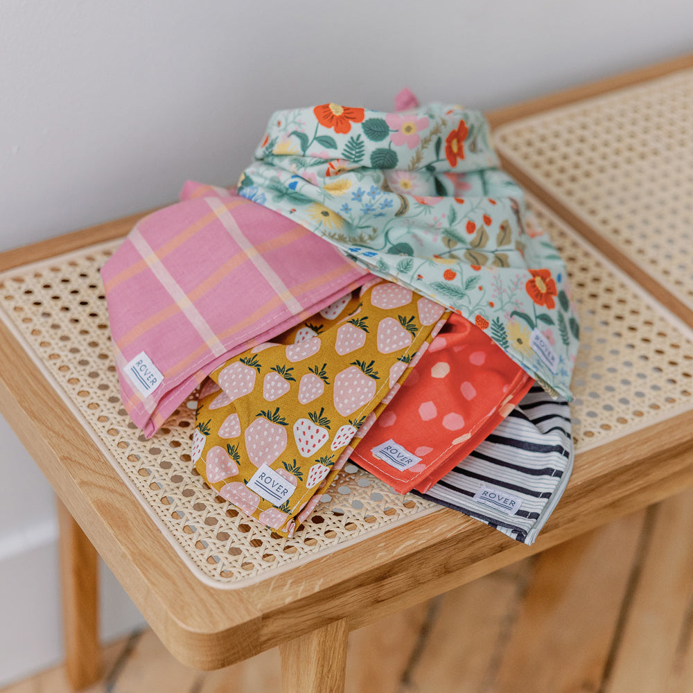 Mystery Bandana Bundle
