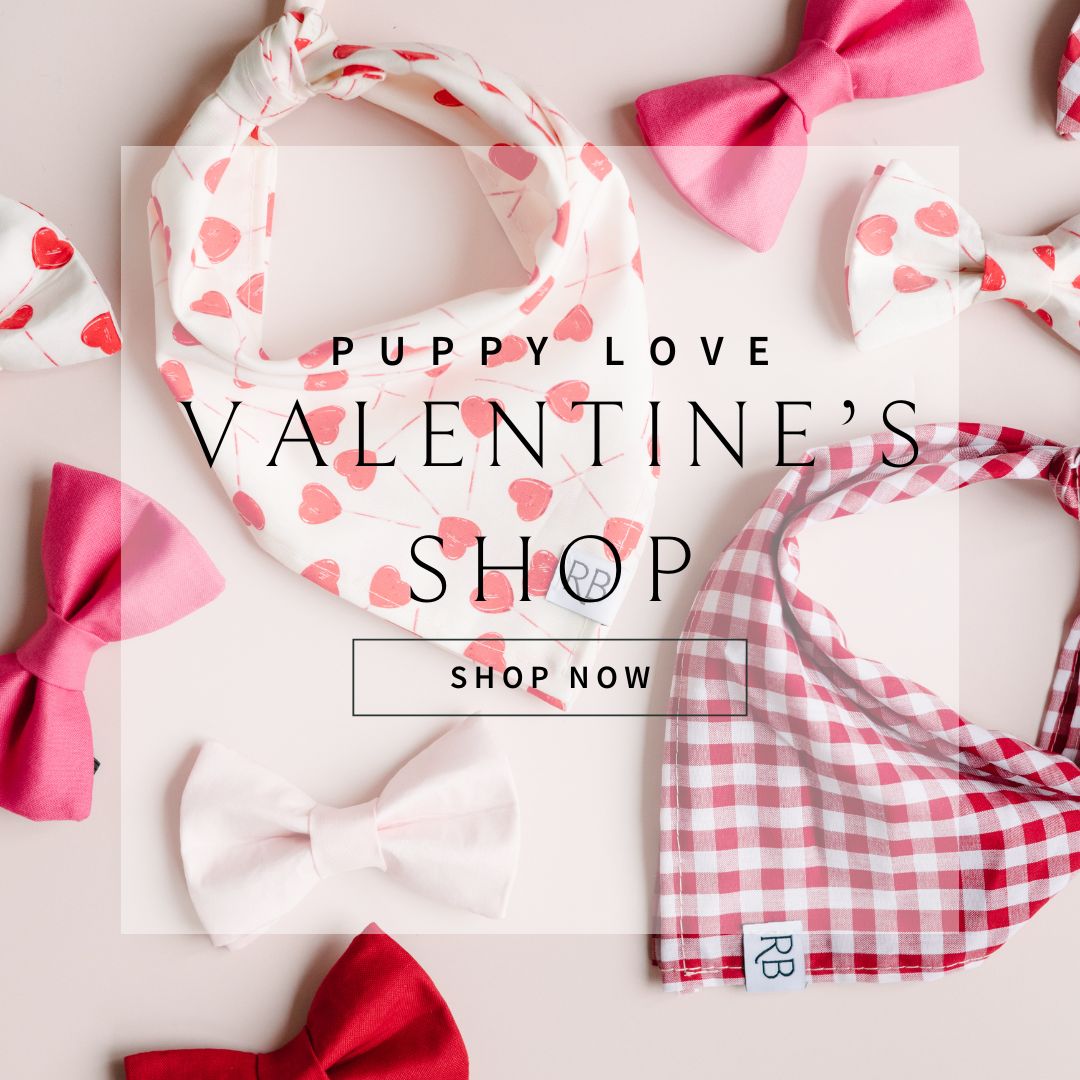 valentine's day dog accessories