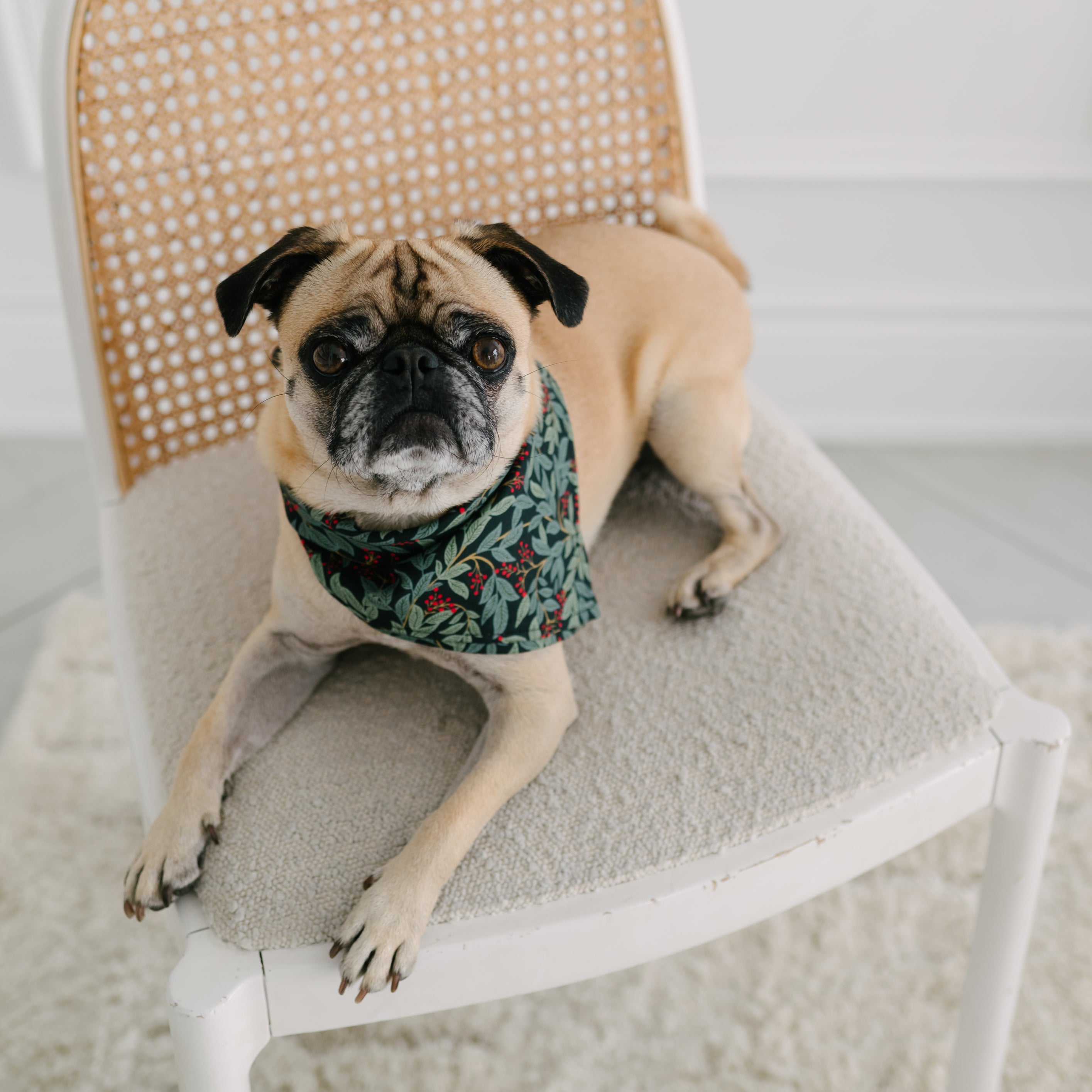 Fern  Dog Bandana