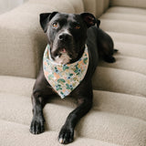 Birch Dog Bandana