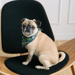 forest dog bandana