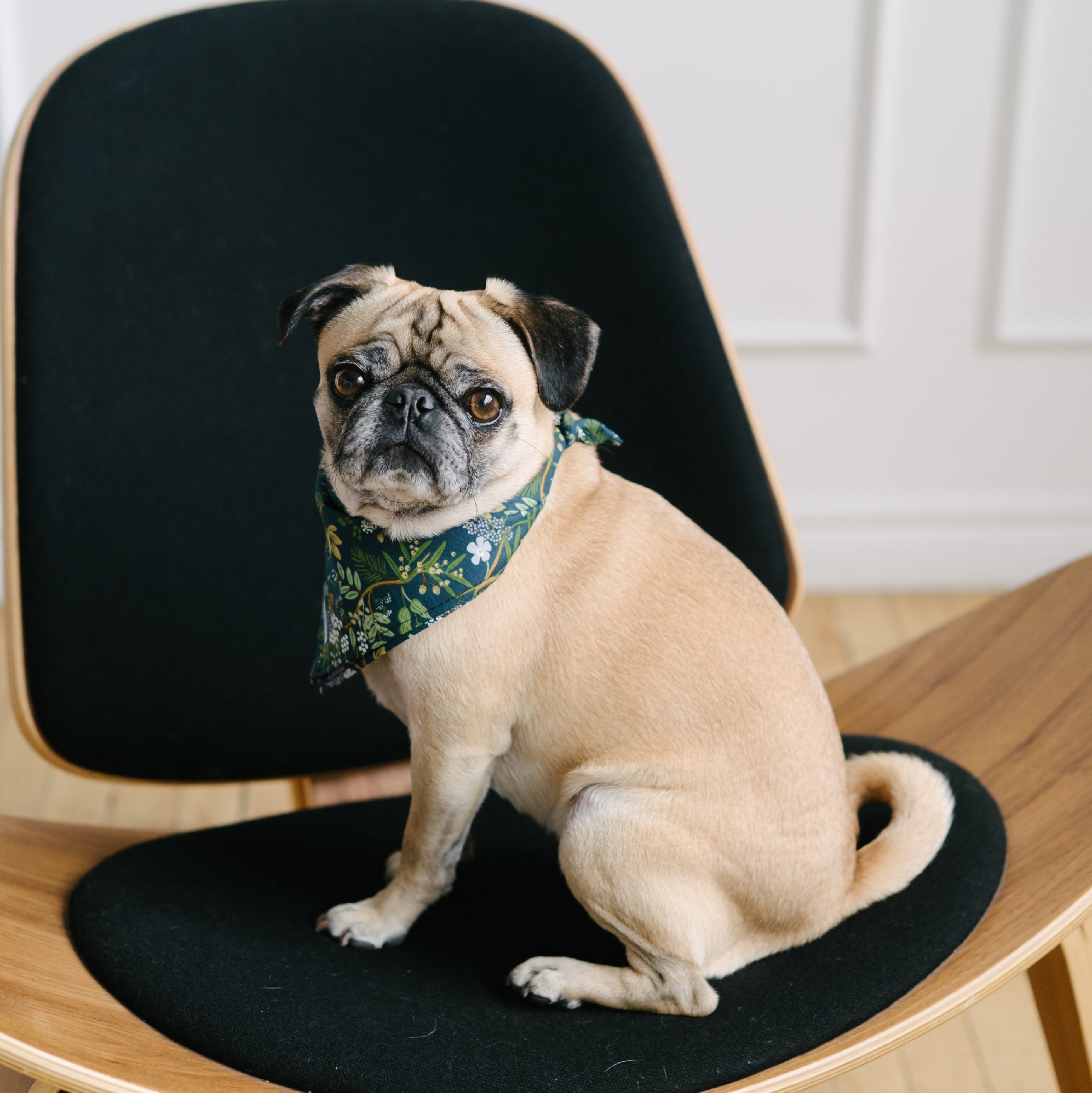 forest dog bandana