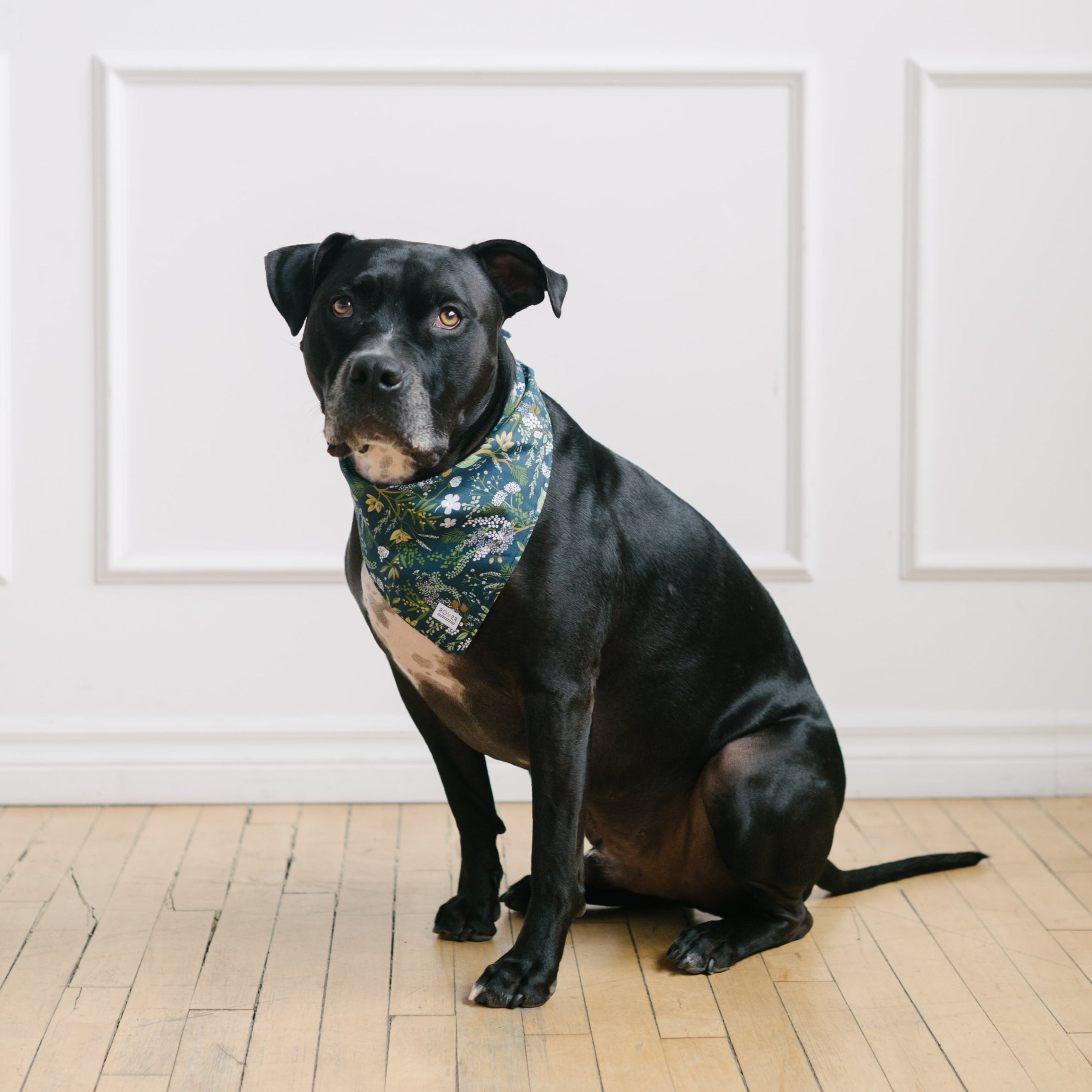 forest dog bandana