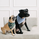 forest dog bandana