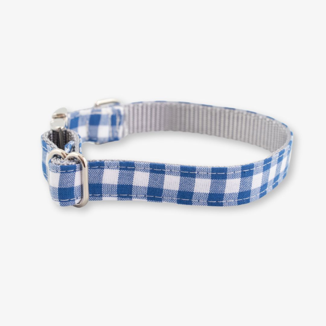blue gingham dog collar