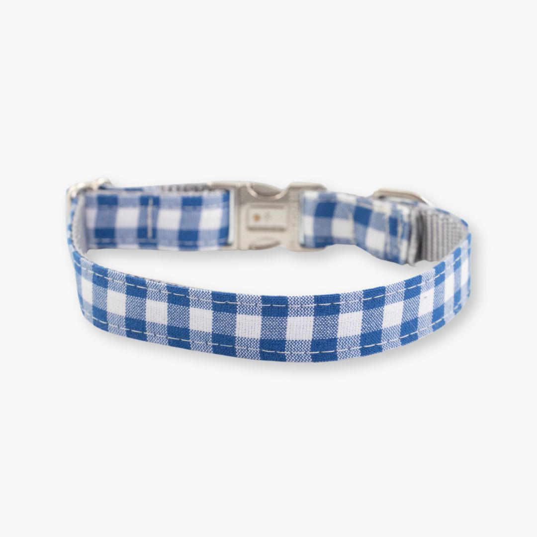 blue gingham dog collar
