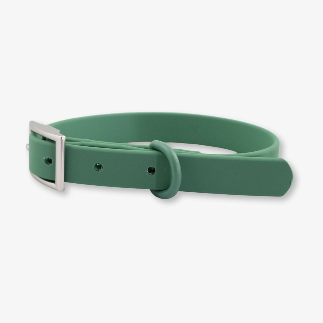 green waterproof dog collar
