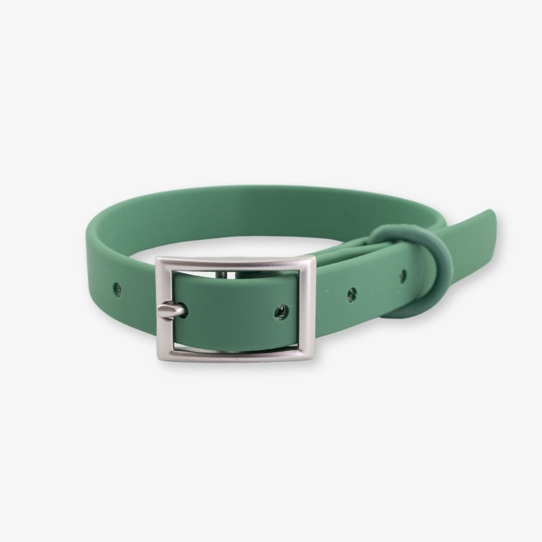 green waterproof dog collar
