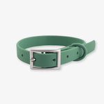 green waterproof dog collar