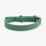 green waterproof dog collar
