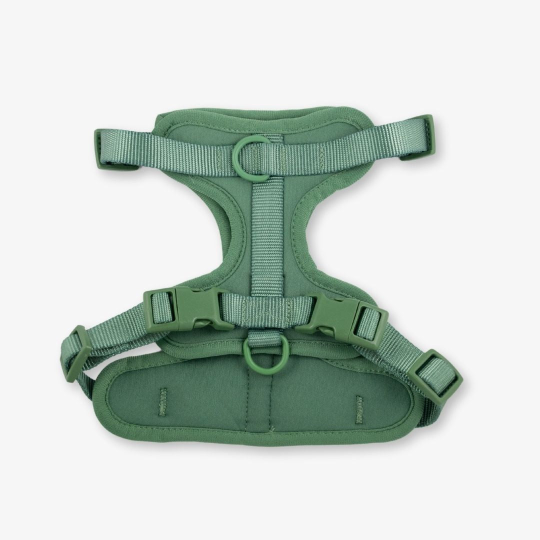 green dog harness