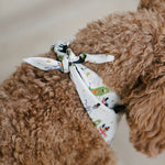 halloween dog bandana

