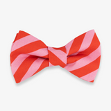 holiday stripe dog bow tie