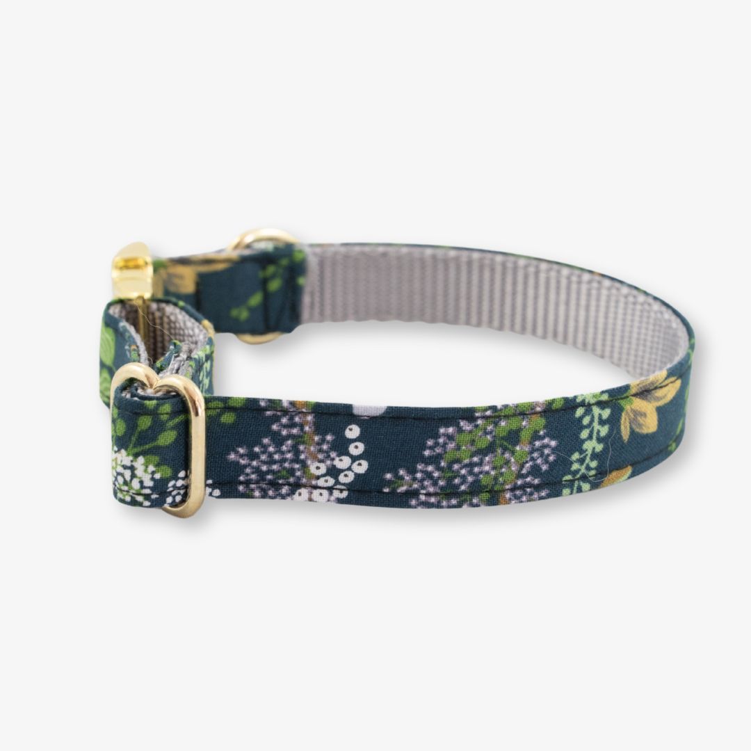 forest dog collar