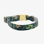 forest dog collar