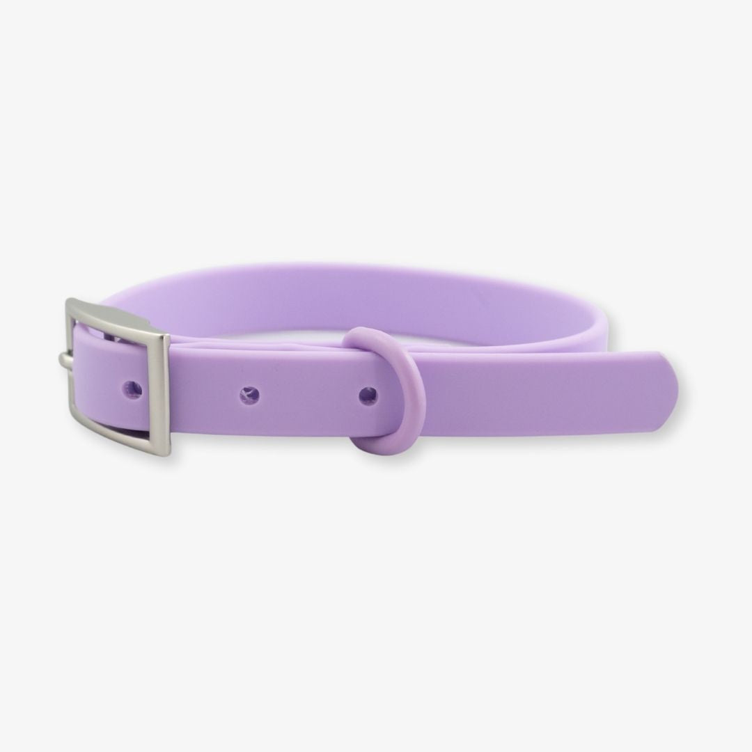 lilac waterproof dog collar