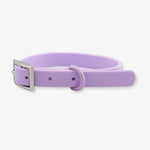 lilac waterproof dog collar