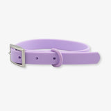 lilac waterproof dog collar
