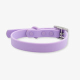 lilac waterproof dog collar