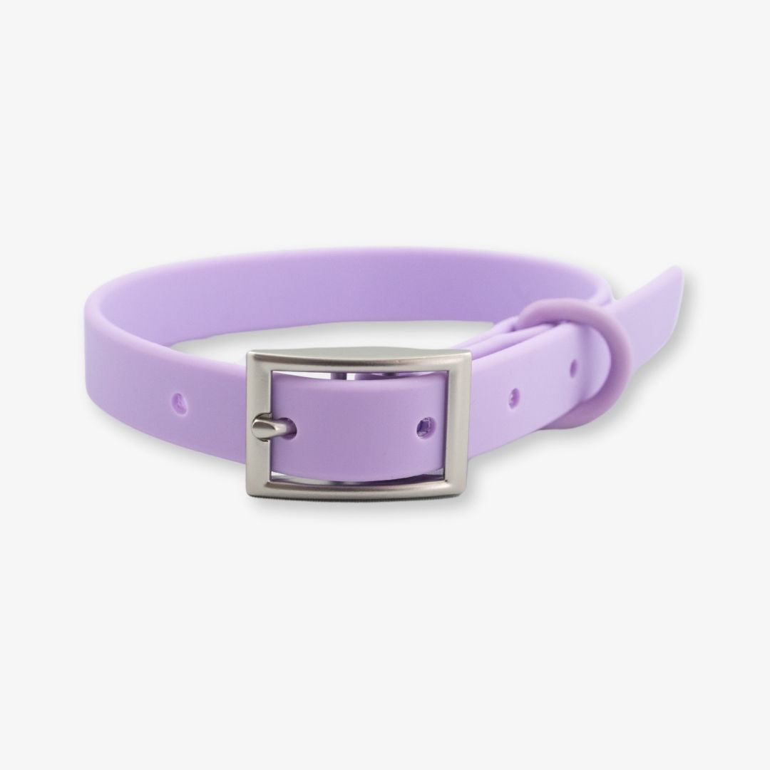 lilac waterproof dog collar