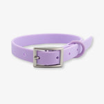 lilac waterproof dog collar