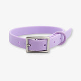 lilac waterproof dog collar