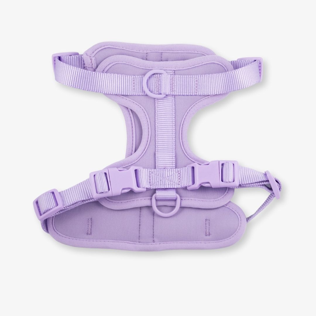 lilac dog harness